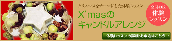 �N���X�}�X���e�[�}�ɂ����̌����b�X��