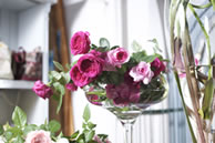 �C���e���A�t�����[