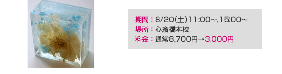 ���ԁF8/20(�y)11:00�`,15�F00�`�@�ꏊ�F�S�֋��{�Z�@�����F�ʏ�8700�~��3000�~