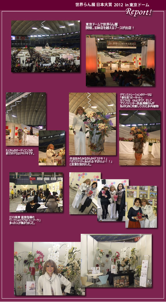 ���E���W ���{��� 2012 ���|�[�g