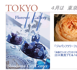 TOKYO�t�����[�A�����W�����g