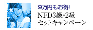 NFD3���E2���Z�b�g�L�����y�[��
