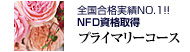 NFD���i�擾�@�v���C�}���[�R�[�X