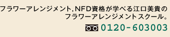 t[AWg,NFDiwׂ]M̃t[AWgXN[Bt[_C0120-603003
