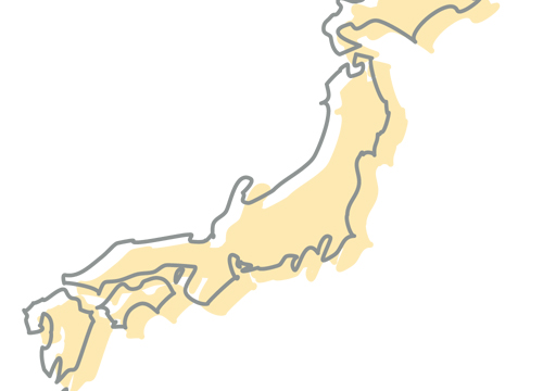 全国38教室展開