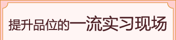 センスが磨ける現場実習