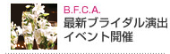B.F.C.A.uC_t[R[fBl[^[cݗCxgJÁI